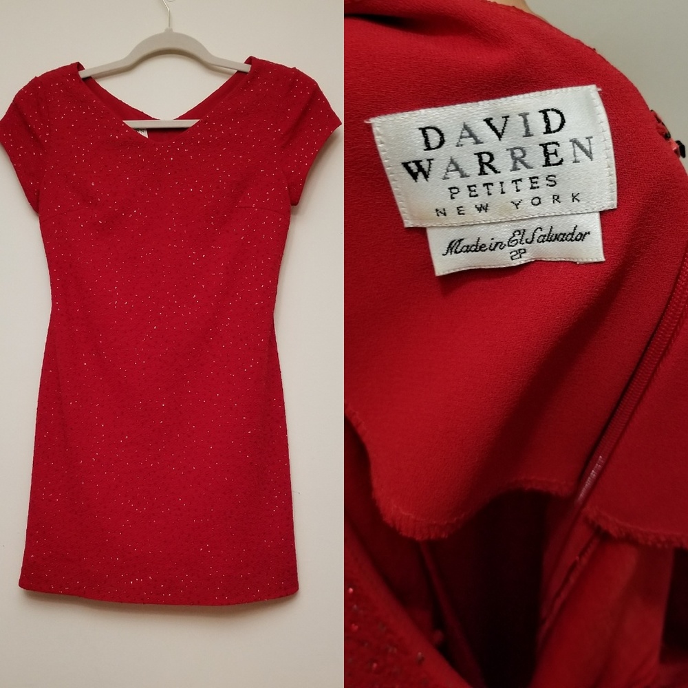 DAVID WARREN DRESS